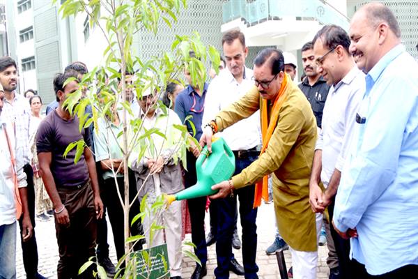 मंत्री टेटवाल ने विश्व पर्यावरण दिवस पर किया पौधरोपण