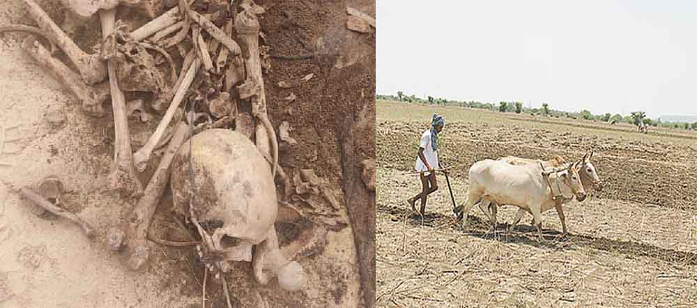 बालोद-छत्तीसगढ़ में हल चलाते किसान को मिला कंकाल का कपाल, महिला की हत्या कर गड़ाना बता रही पुलिस