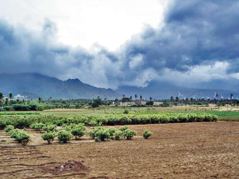 अगले दो दिनों में पूरे देश में मानसून के पहुंचने की संभावना, पूर्वोत्तर में भी होगी मूसलाधार बारिश