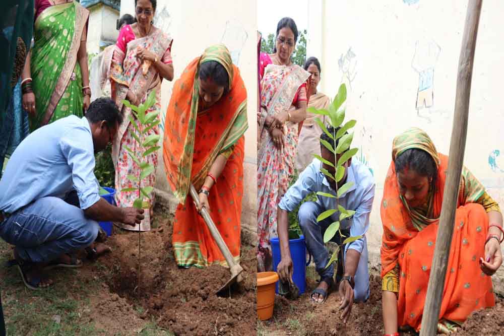 छत्तीसगढ़-जशपुर में लक्ष्मी राजवाड़े ने किया पौधारोपण, एक पेड़ माँ के नाम अभियान में पहुंचीं महिला एवं बाल विकास मंत्री