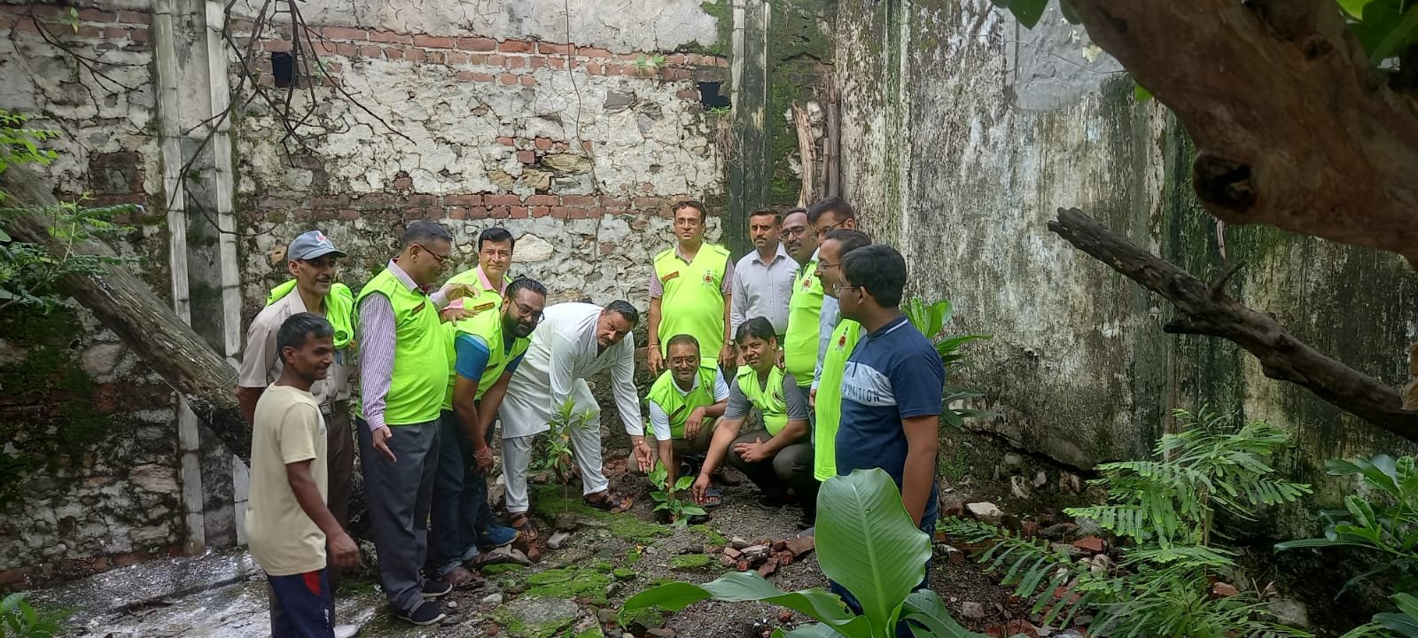 नागरिक सुरक्षा संगठन ने किया वृक्षारोपण