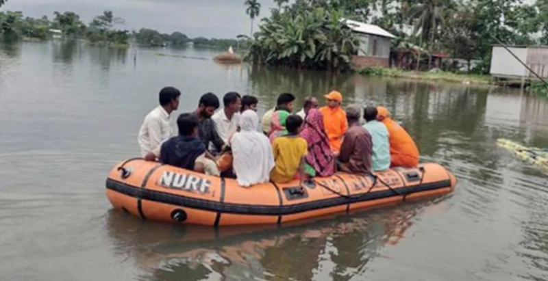 असम में बाढ़ का कहर, काजीरंगा में 137 जंगली जानवरों की मौत; 27 लाख लोग प्रभावित