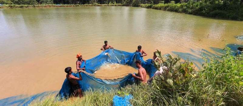 एक साधारण किसान से मछली पालन के अग्रदूत बनने तक की प्रेरक यात्रा