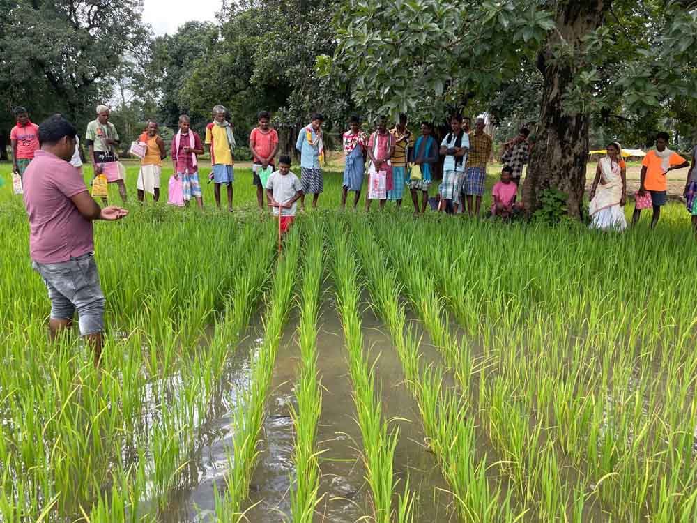 छत्तीसगढ़-रायपुर में चल रही ’’जैविक कृषक खेत पाठशाला’’, किसान सीख रहे जैविक खेती के वैज्ञानिक तरीके