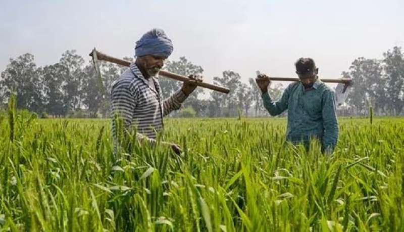 PM Kisan Yojana: कब आएगी 19वीं किस्त? किसानों को मिलेगी राहत