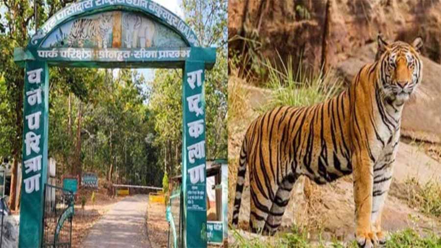 गुरु घासीदास-तमोर पिंगला उद्यान बना देश का 56वां टाइगर रिजर्व