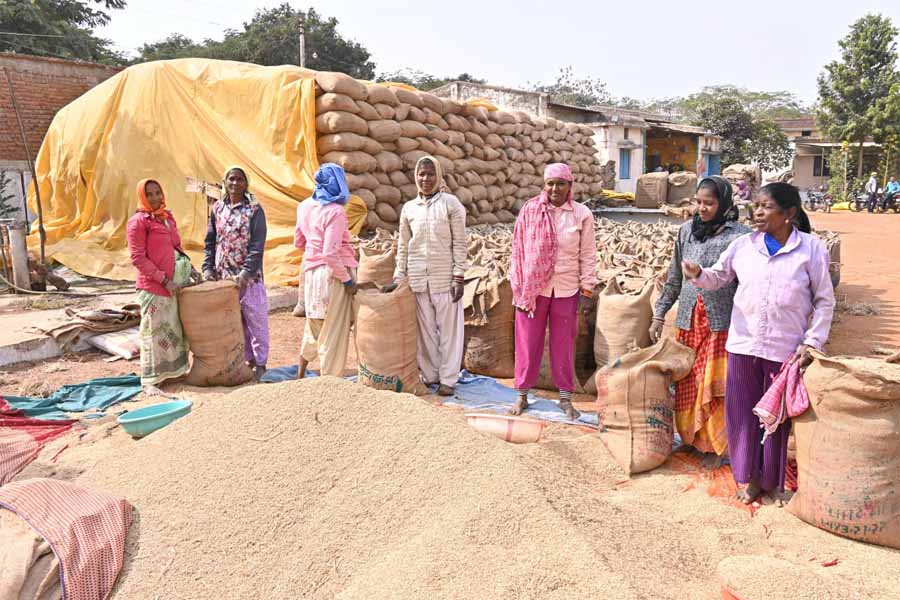 मुख्यमंत्री के मार्गदर्शन में सुगमता से हो रही धान की खरीदी