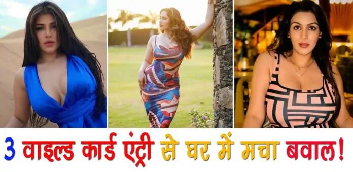 Bigg Boss 18 के घर में हुई तीन हसीनाओं की वाइल्ड कार्ट एंट्री, जानिए कौन हैं ये…