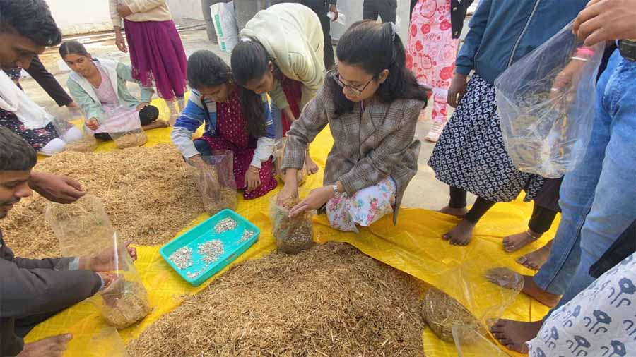 युवाओं को स्वरोजगार से जोड़ने में सहायक होगा मशरूम उत्पादन