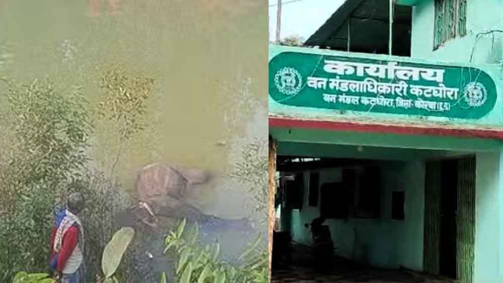 छत्तीसगढ़-कोरबा के जंगली तालाब में मिली हाथी की लाश, करंट लगने से मौत की आशंका