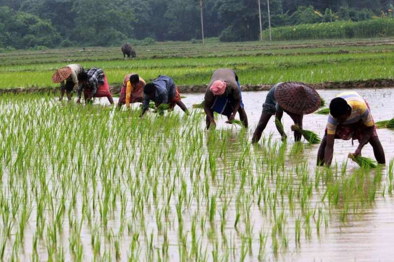 किसानों को मिलेगा यूनिक नंबर, होगी अलग पहचान… रजिस्ट्रेशन के लिए भी दी गई खास सुविधा