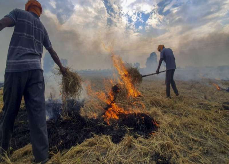 सबसे ज्यादा पराली मध्य प्रदेश में जली