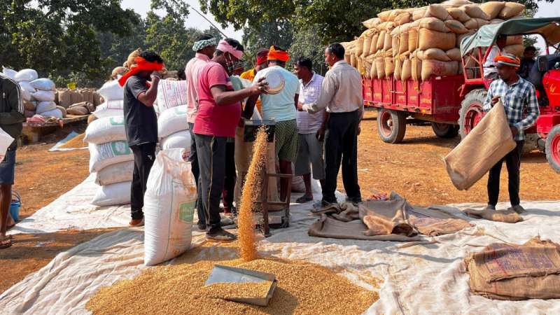 मुख्यमंत्री विष्णु देव साय की पहल पर निरंतर धान खरीदी का सिलसिला जारी