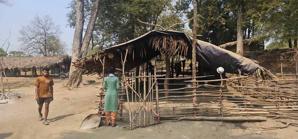 नक्सल  हिंसा से  उजाड़ गांव होने लगे आबाद