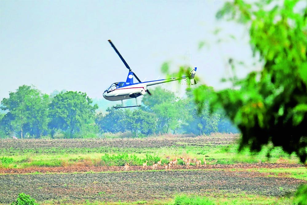 सेवा भाव और वन्य जीव संरक्षण का प्रतीक है देश का पहला हाई-टेक वन्य जीव कैप्चर अभियान : मुख्यमंत्री डॉ. यादव