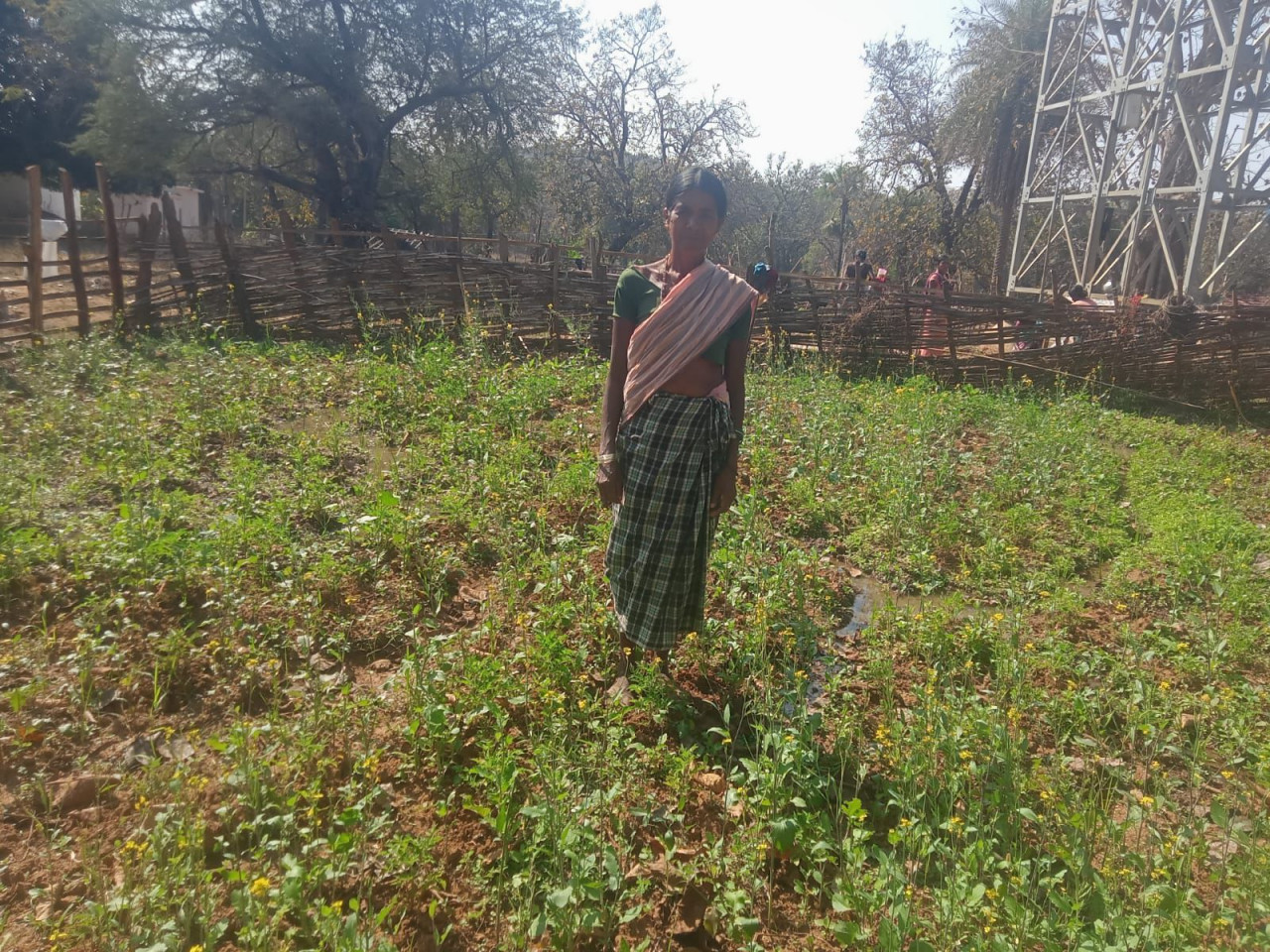महतारी वंदन योजना से बदली जिंदगी की तस्वीर : श्रीमती सुखी पुनेम बनीं आत्मनिर्भरता और पोषण की मिसाल….