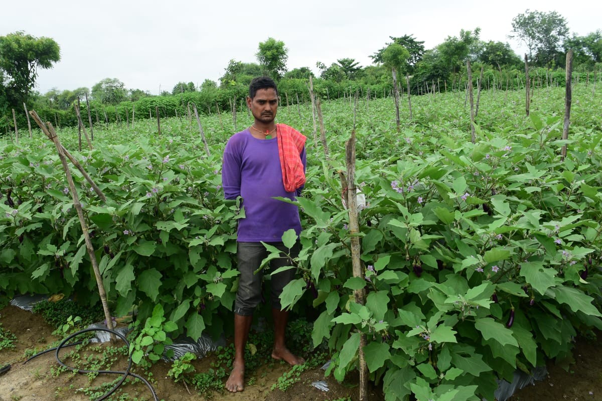 तखतपुर के किसानों ने अपनाई उन्नत खेती, बढ़ी कमाई, परंपरागत खेती छोड़ आधुनिक खेती से बदली तकदीर….