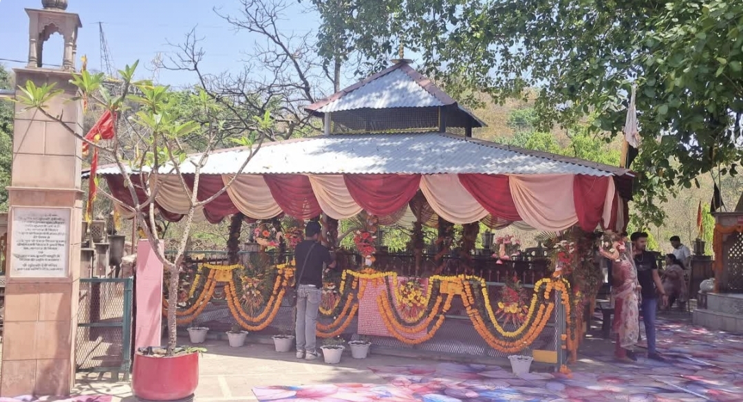 फॉरेस्ट रिजर्व में शादी को लेकर विवादों में कैबिनेट मंत्री, सामने आकर दी सफाई, वन निदेशक पर फोड़ा ठीकरा