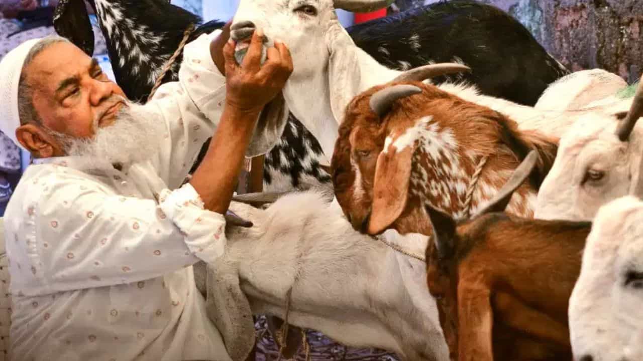 बकरीद अवकाश पर उत्तराखंड सरकार का नया आदेश, 27 नहीं अब 28 मई को रहेगी छुट्टी बकरीद अवकाश पर उत्तराखंड सरकार का नया आदेश, 27 नहीं अब 28 मई को रहेगी छुट्टी