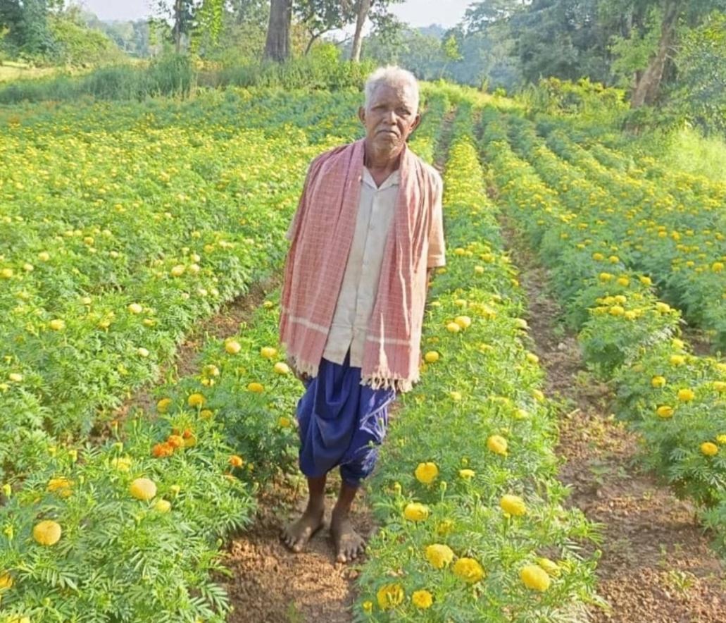 धान छोड़ फूलों की खेती ने बदली आनंदराम की तकदीर, 22 हजार के बदले कमाए 3 लाख रुपए, गेंदा उत्पादन से कोड़केल के किसान ने पेश की सफलता की मिसाल…..