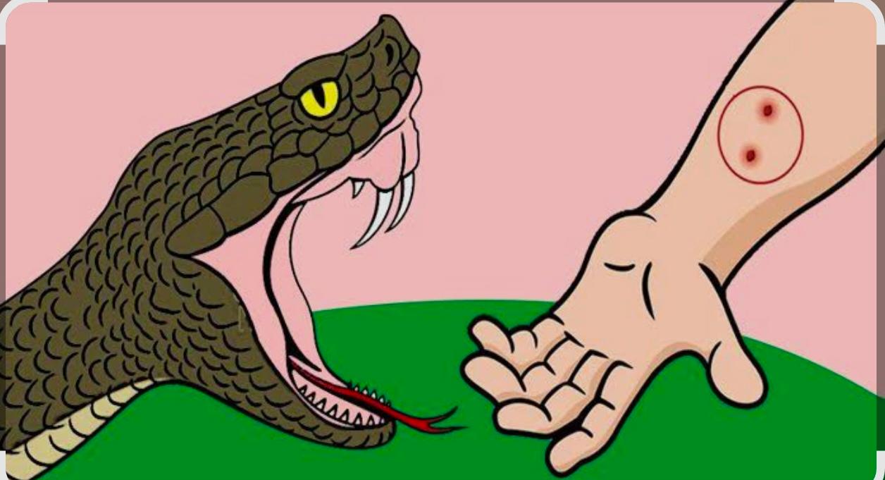 वर्षा ऋतु में सर्पदंश से सतर्क रहें: स्वास्थ्य विभाग बेमेतरा की अपील  