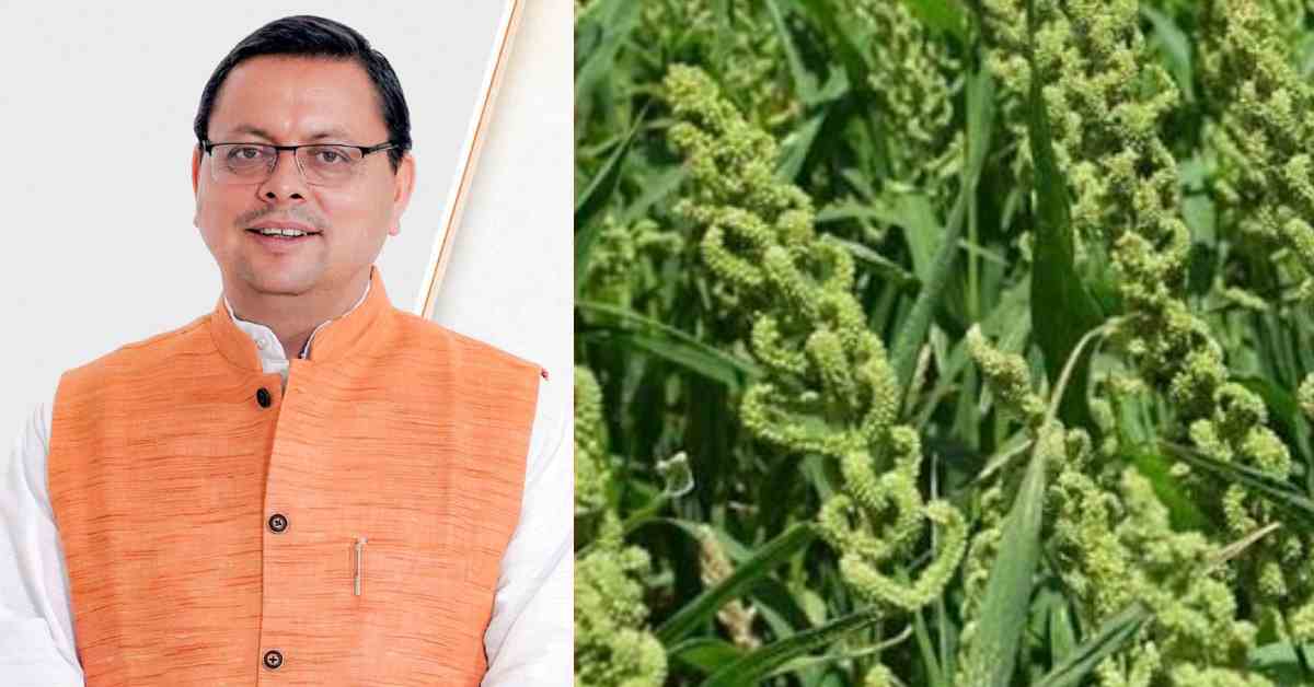 Uttarakhand News: CM धामी का बड़ा दावा: कहा नहीं, करके दिखाया… उत्तराखंड में लागू की स्टेट मिलेट पॉलिसी…..